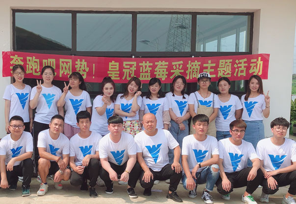 【奔跑吧網(wǎng)勢！】藍莓采摘主題團建活動