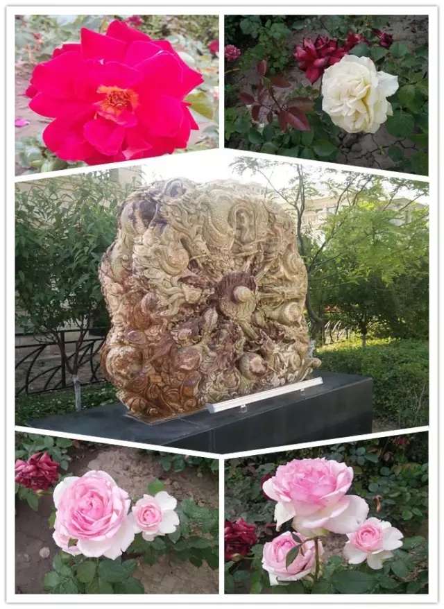 網(wǎng)勢科技6周歲生日快樂！